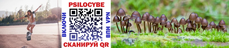 Псилоцибиновые грибы Cubensis  кракен как зайти  Очёр  купить наркоту 